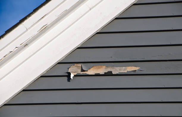 Professional Siding Installation & Repair in Woodlynne, NJ